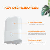GRIFEMA GD101-1, Veilleuse Enfant, Veilleuse Prise Électrique avec 3 Niveaux de Réglage de La Luminosité, Veilleuse Bébé Adaptée aux Chambres, Cuisines, Couloirs, Salles de Bains, Blanc Chaud