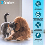 Candure Coupe Ongles Chien pour Coupe Griffes Chien Et Coupe Ongle Chat- Acier Inoxydable Chien Toilettage Coupe Ongles pour Animaux De Compagnie (Bleu, Grand à Moyen)