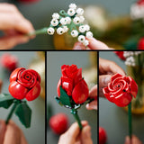 LEGO Botanicals Le Bouquet de Roses - Fleurs Artificielles - Set de Construction pour Adulte - Cadeau pour Femme ou Homme Passionné(e) de Plantes - Accessoires de Décoration de Noël 10328