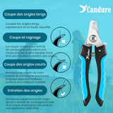 Candure Coupe Ongles Chien pour Coupe Griffes Chien Et Coupe Ongle Chat- Acier Inoxydable Chien Toilettage Coupe Ongles pour Animaux De Compagnie (Bleu, Grand à Moyen)